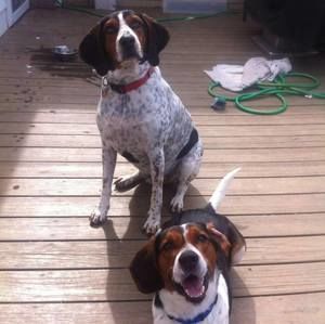 Meet your Posher, John